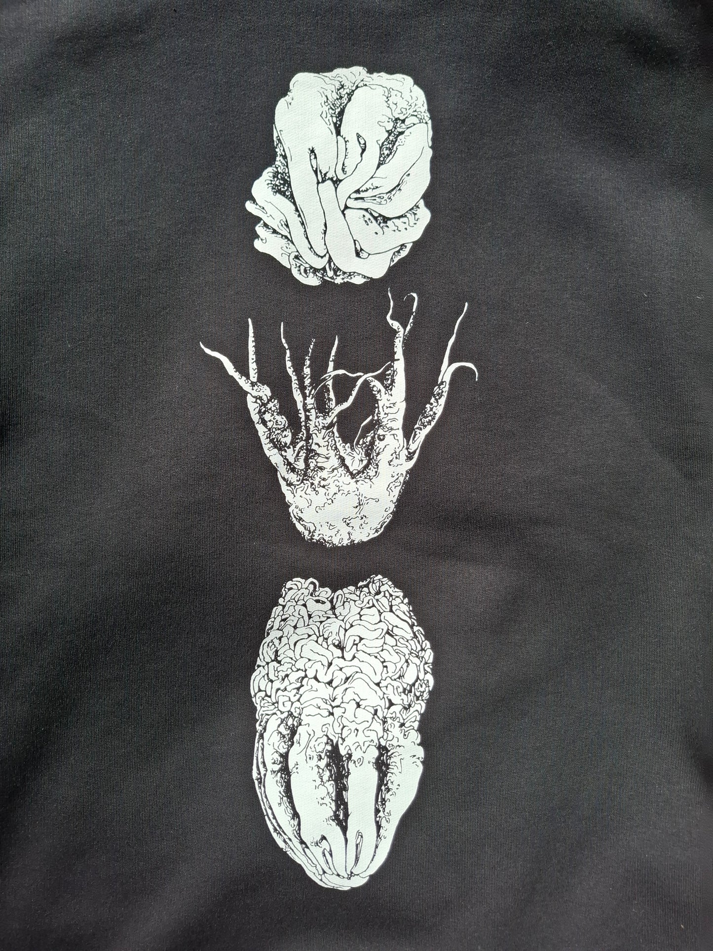 Sweater *CLATHRUS*  (2nd Edition)
