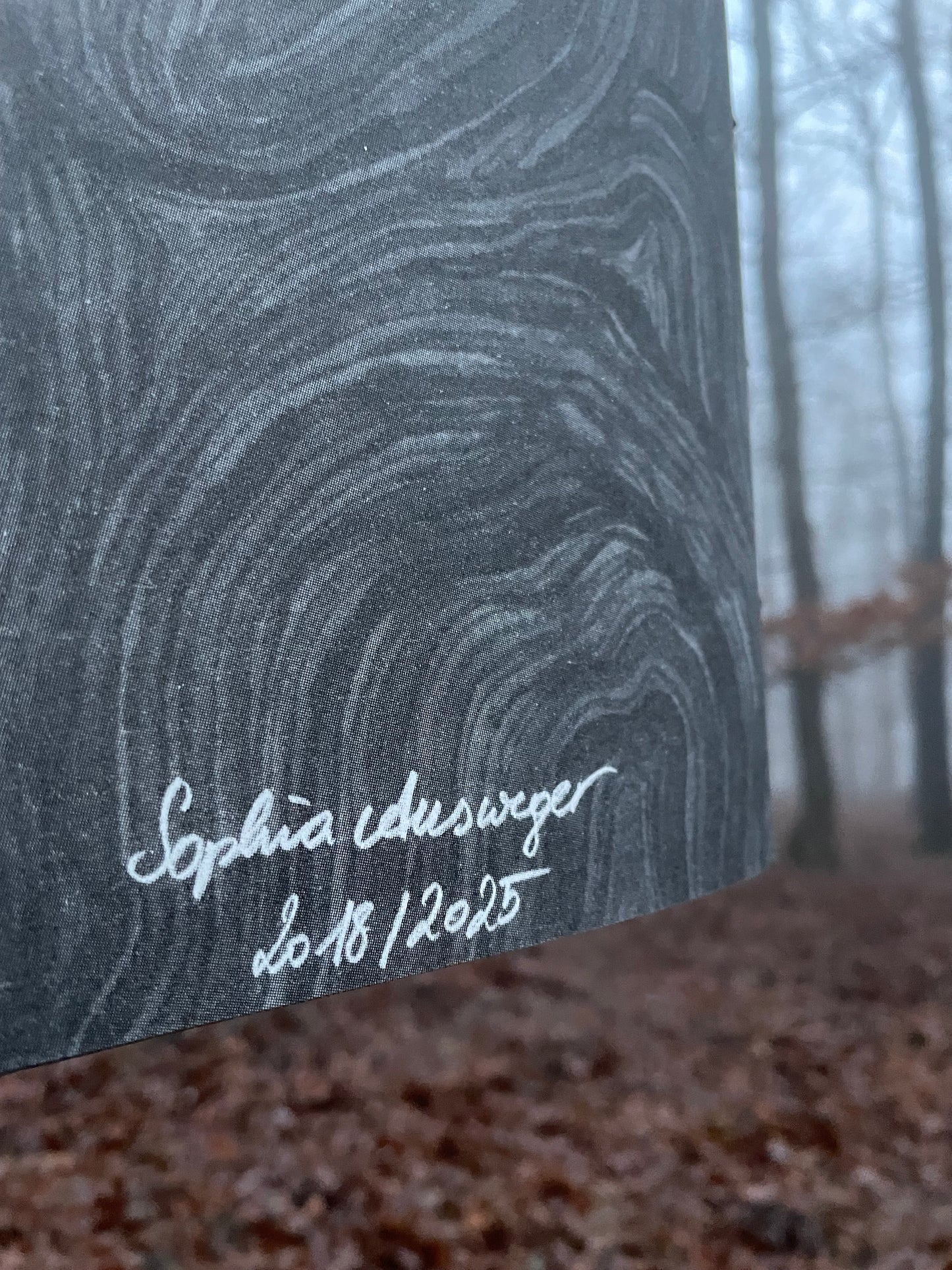 (c)Limax: 2 zines about the passionate encounter of 2 Leopard Slugs (Leidenschaft zwischen Tigerschnegeln)