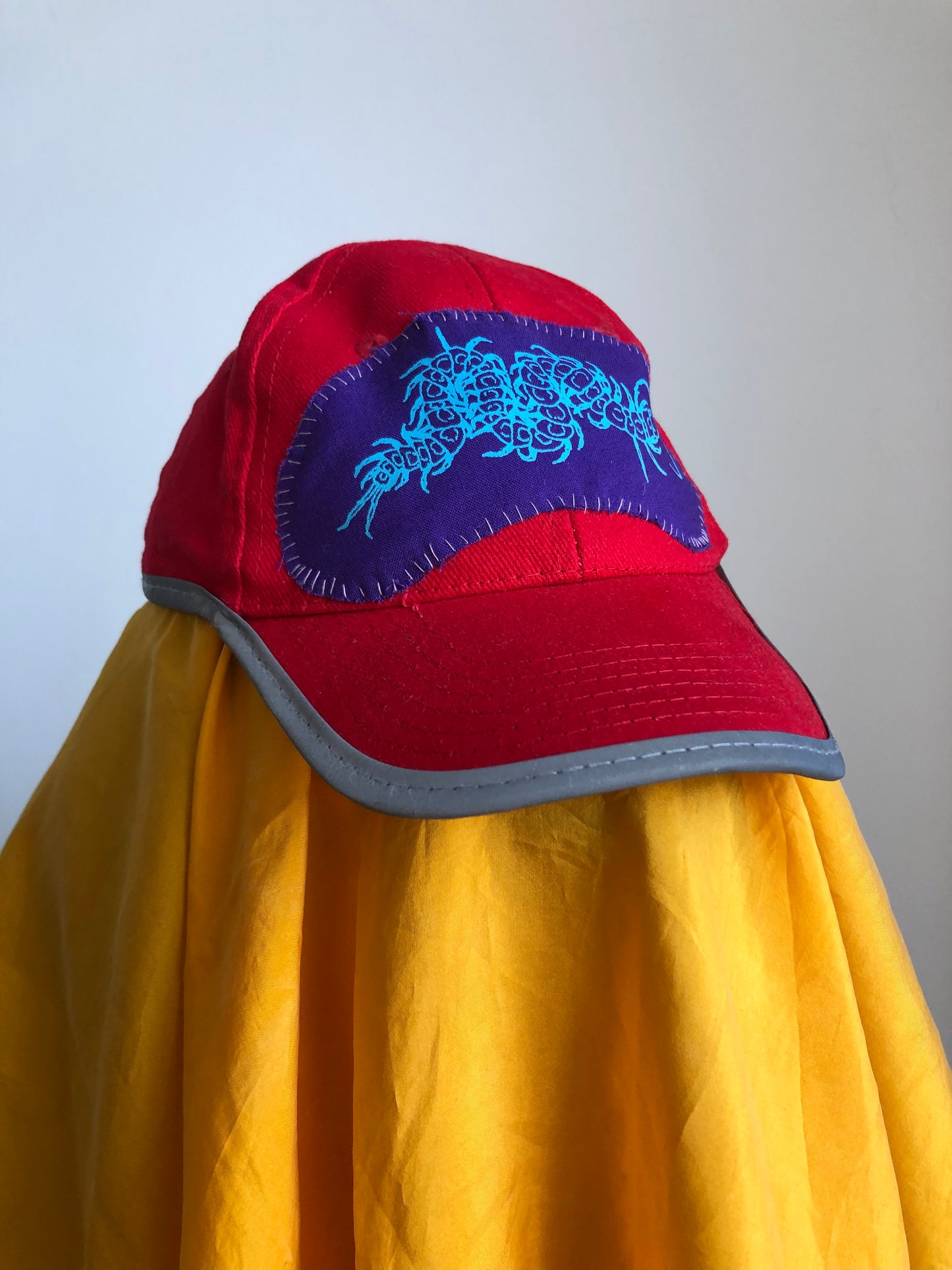 red cap (coiling centipede)