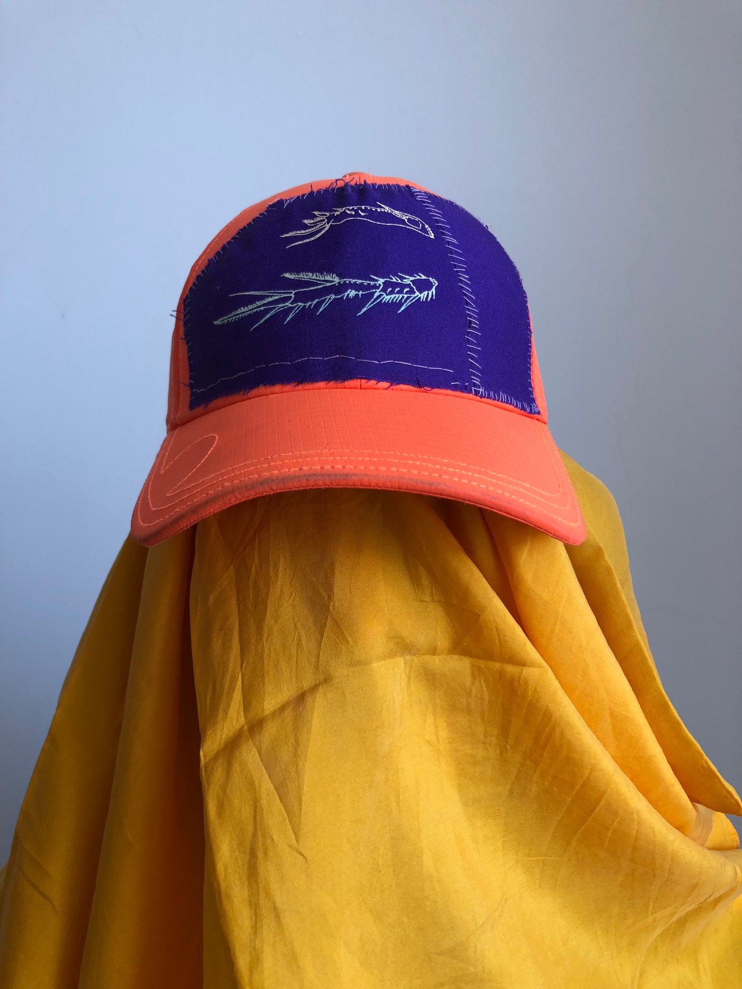 bright orange cap (insect legs)