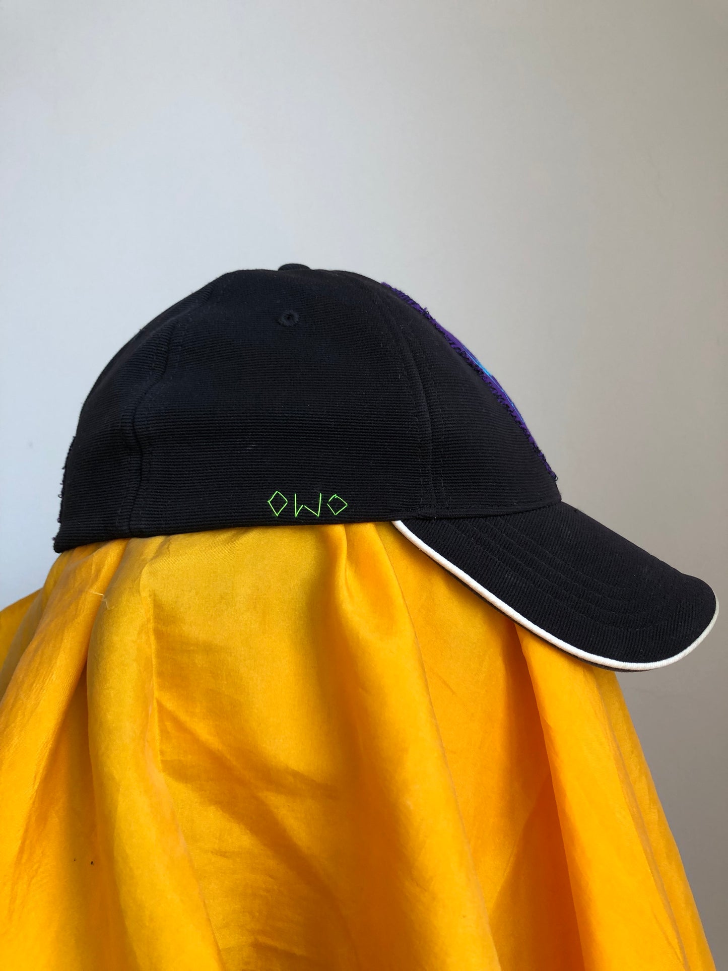 black cap (friendly worshipper)