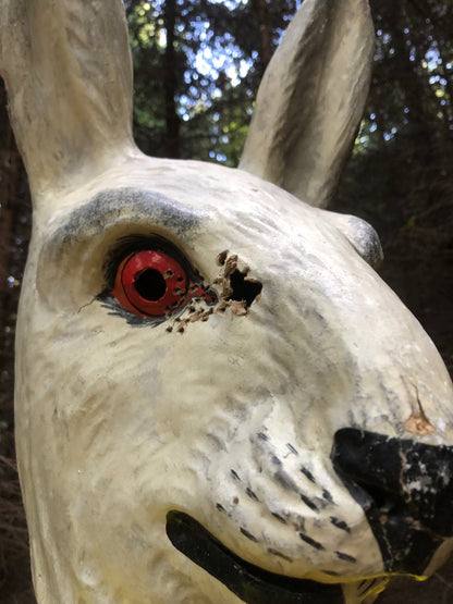 T-shirt *Ceropegia* yellow/blue