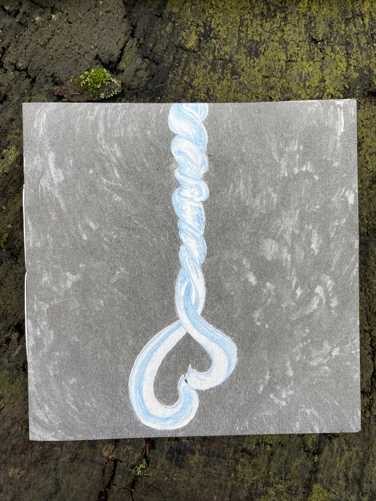 (c)Limax: 2 zines about the passionate encounter of 2 Leopard Slugs (Leidenschaft zwischen Tigerschnegeln)