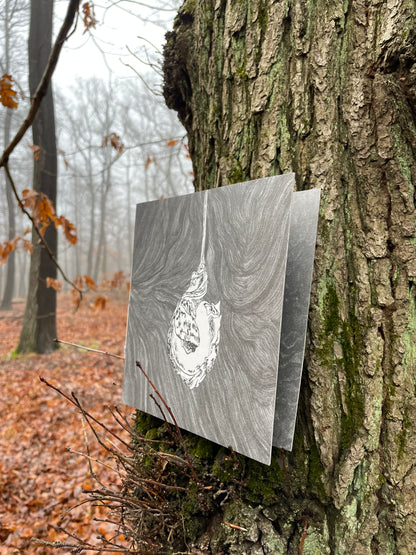 (c)Limax: 2 zines about the passionate encounter of 2 Leopard Slugs (Leidenschaft zwischen Tigerschnegeln)