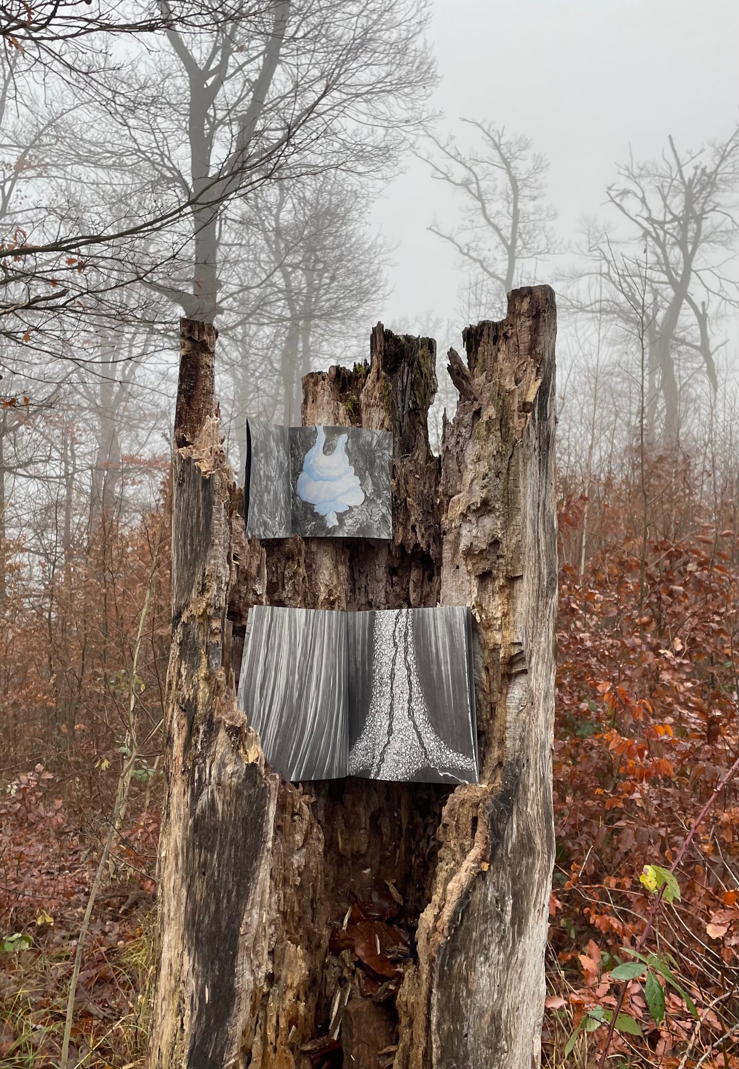 (c)Limax: 2 zines about the passionate encounter of 2 Leopard Slugs (Leidenschaft zwischen Tigerschnegeln)