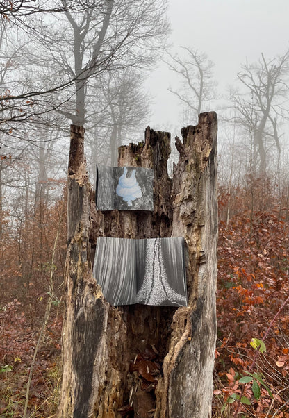 (c)Limax: 2 zines about the passionate encounter of 2 Leopard Slugs (Leidenschaft zwischen Tigerschnegeln)