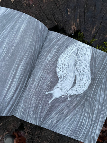 (c)Limax: 2 zines about the passionate encounter of 2 Leopard Slugs (Leidenschaft zwischen Tigerschnegeln)