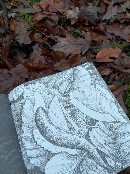 (c)Limax: 2 zines about the passionate encounter of 2 Leopard Slugs (Leidenschaft zwischen Tigerschnegeln)