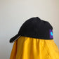 black cap (friendly worshipper)